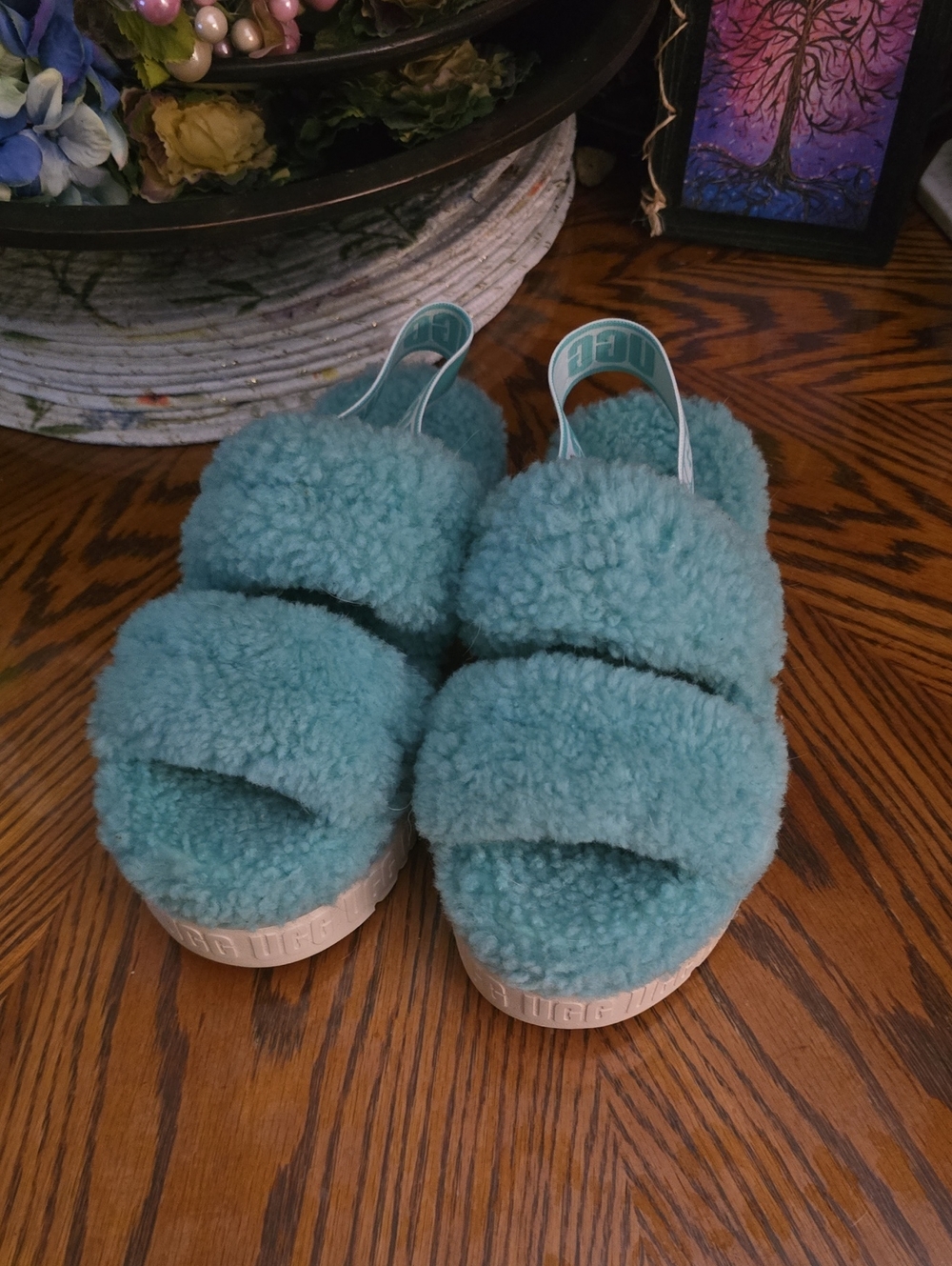 UGG Slippers